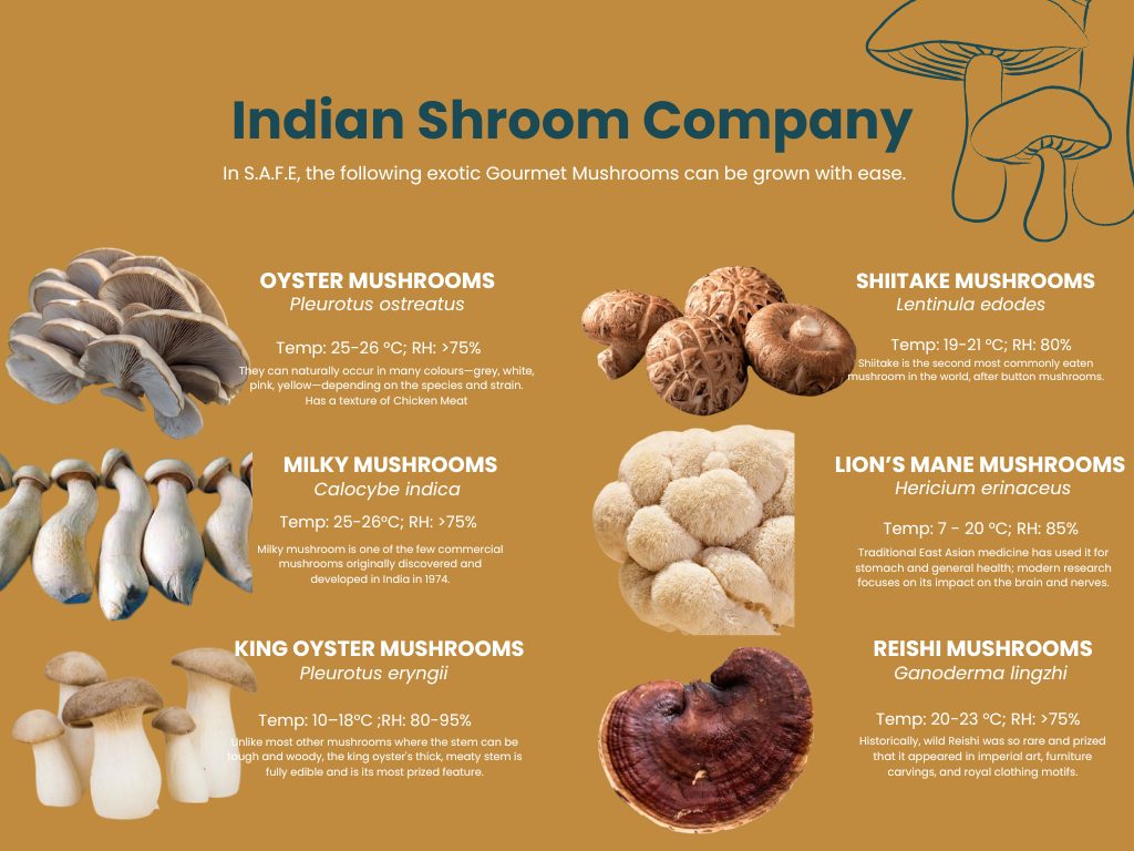 Exotic gourmet mushrooms that can be grown in S.A.F.E