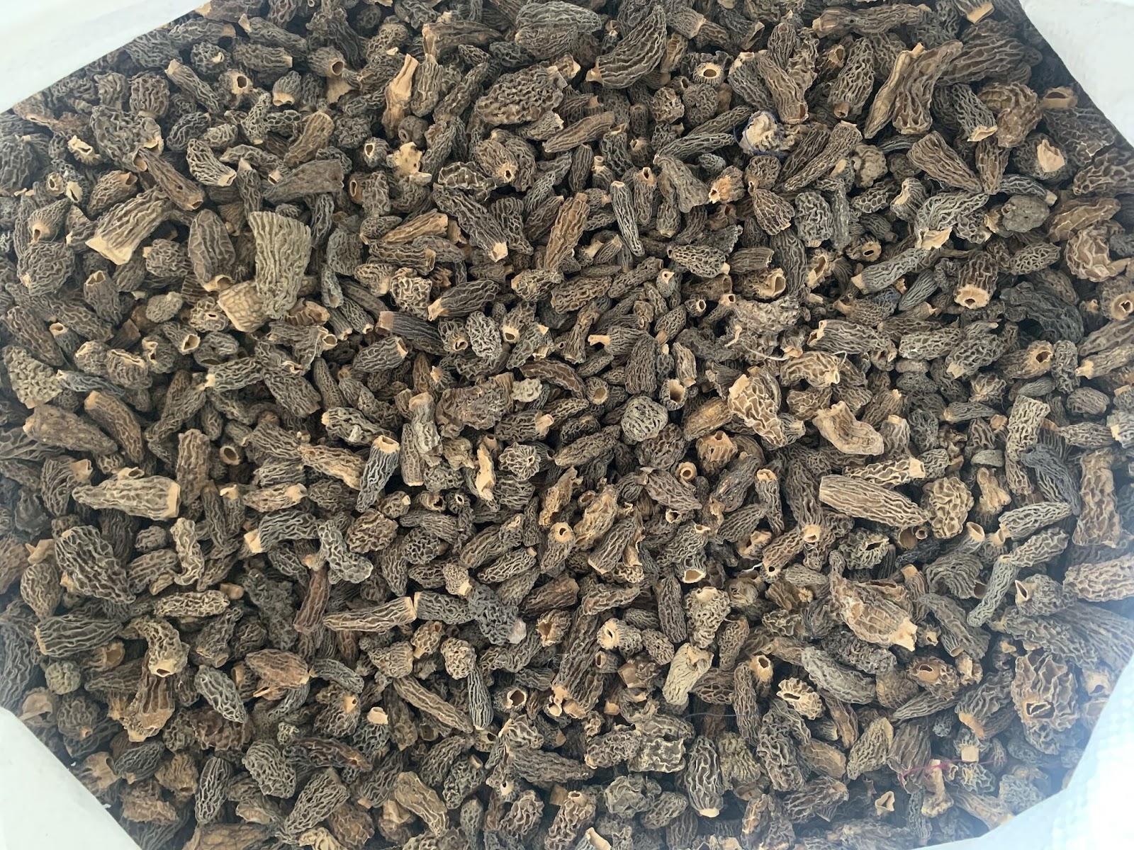 Morel mushroom dried