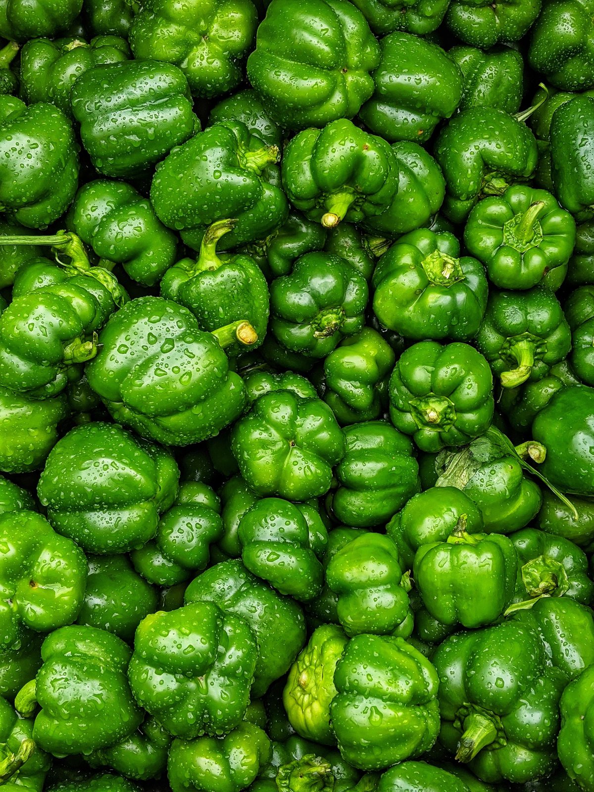 Green capsicum