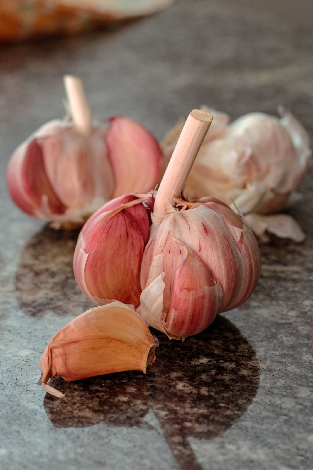 Garlic — Fresh & Dehydrated
