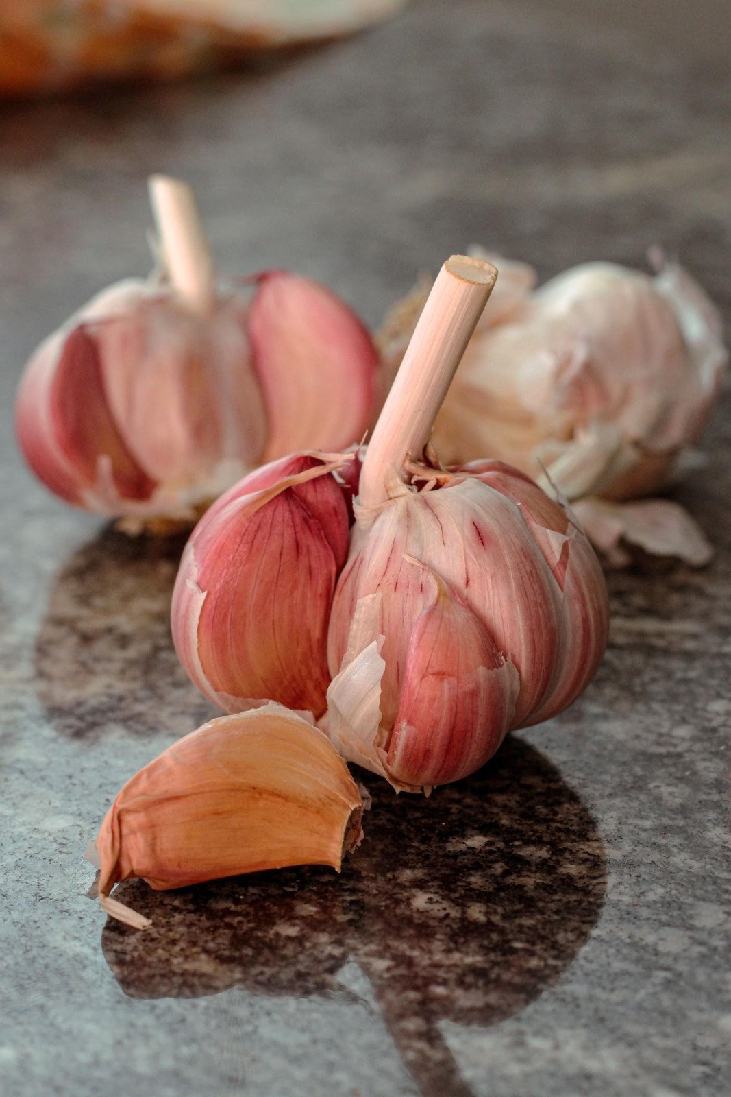 Garlic 1