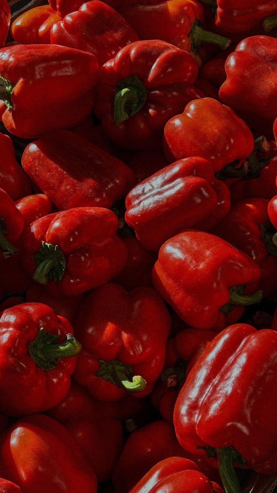 Red Capsicum
