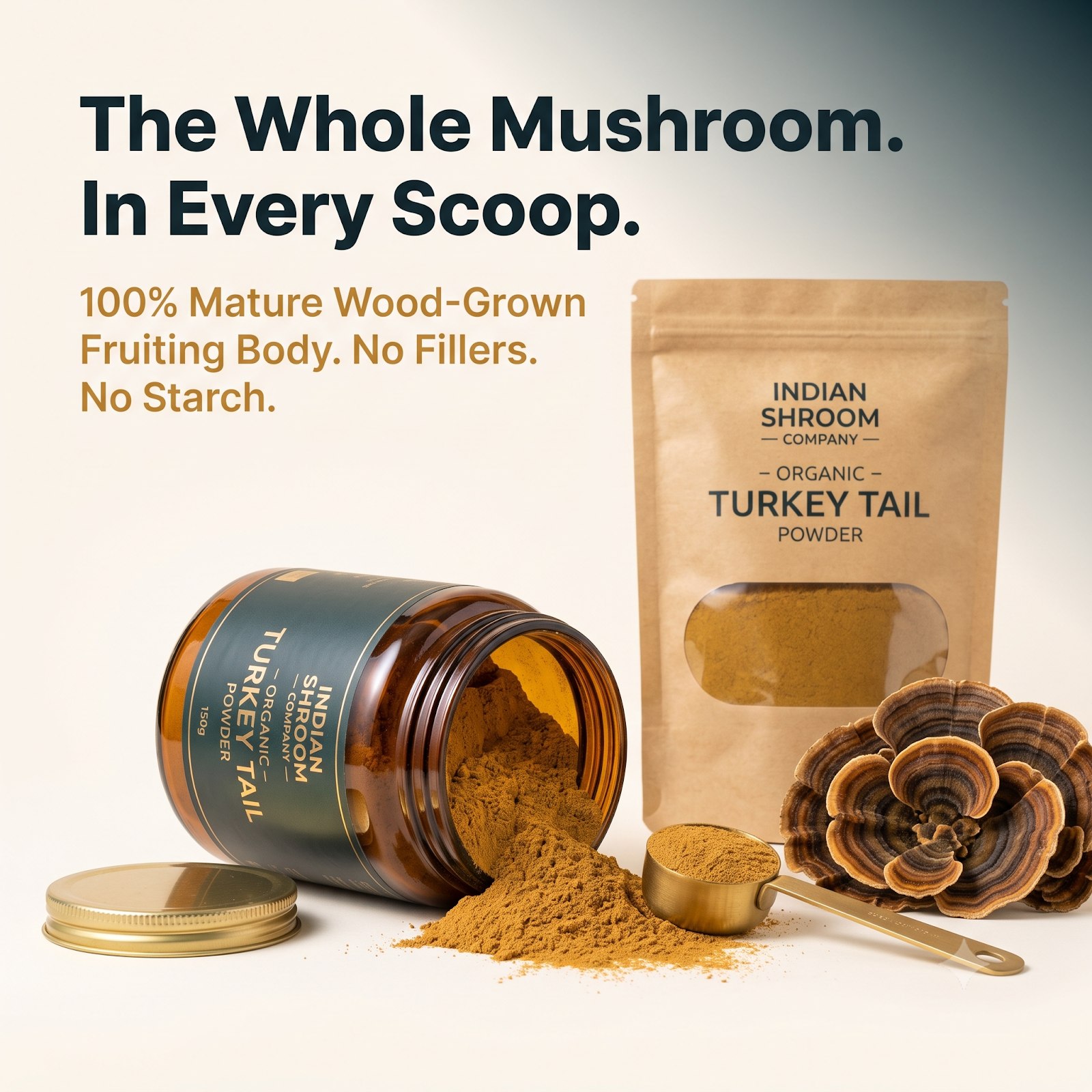 TurkeyTail Powder_2