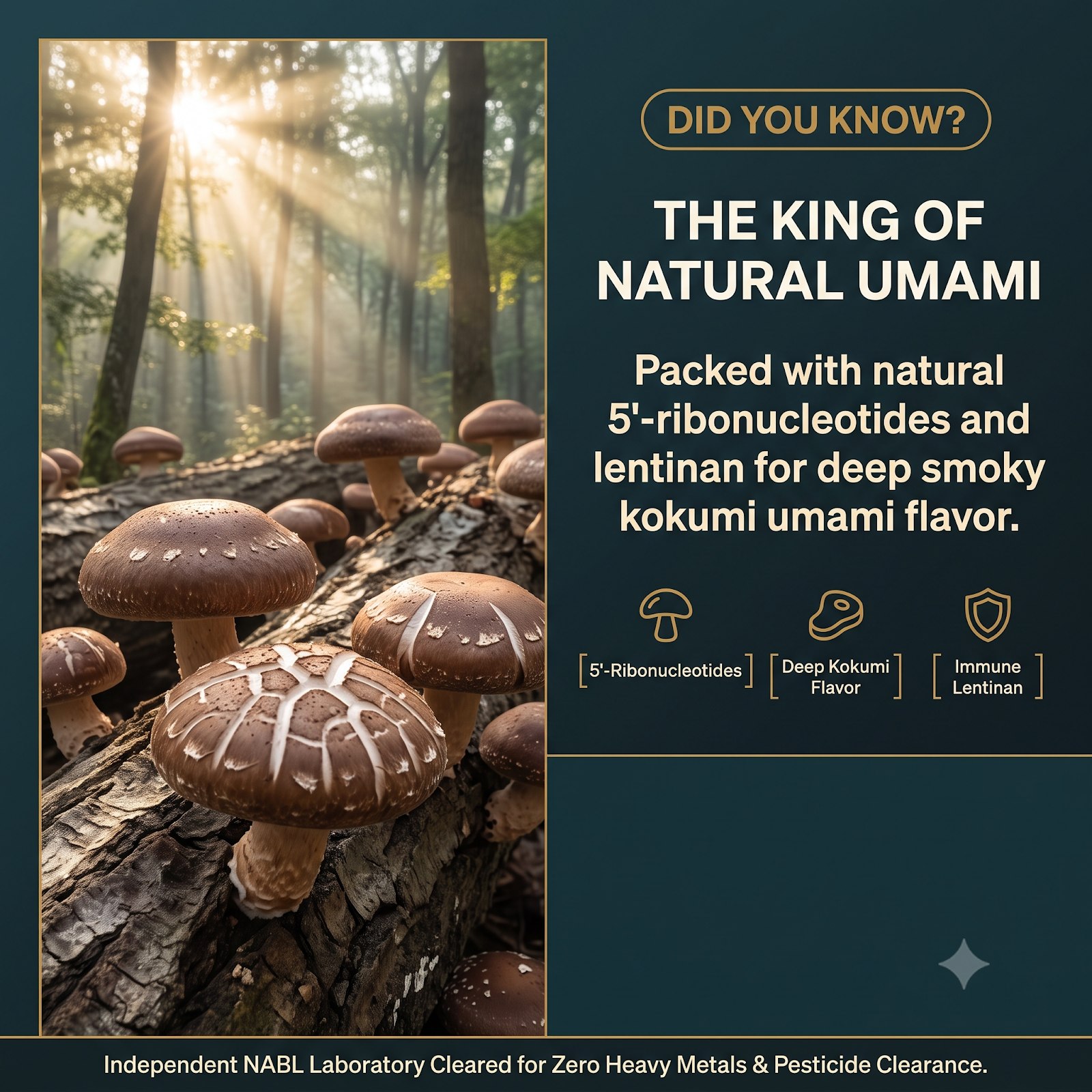 Shiitake Powder_3