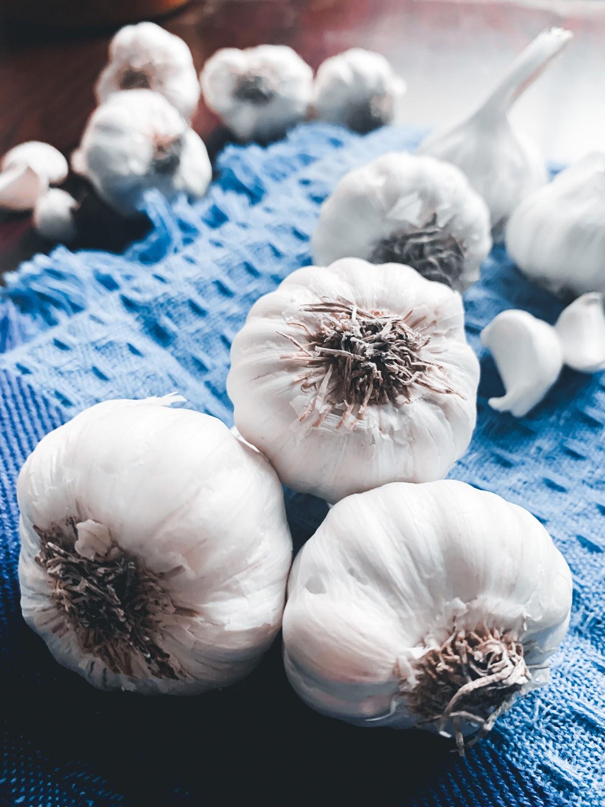Garlic 3