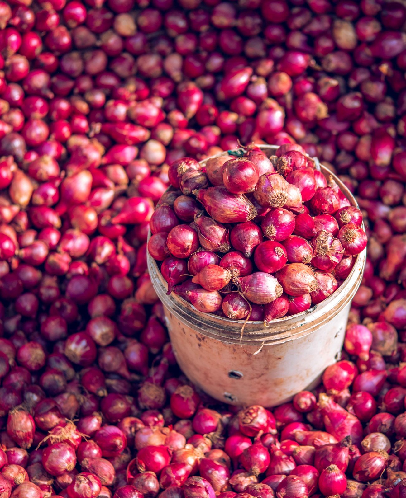 Small (sambhar) onions