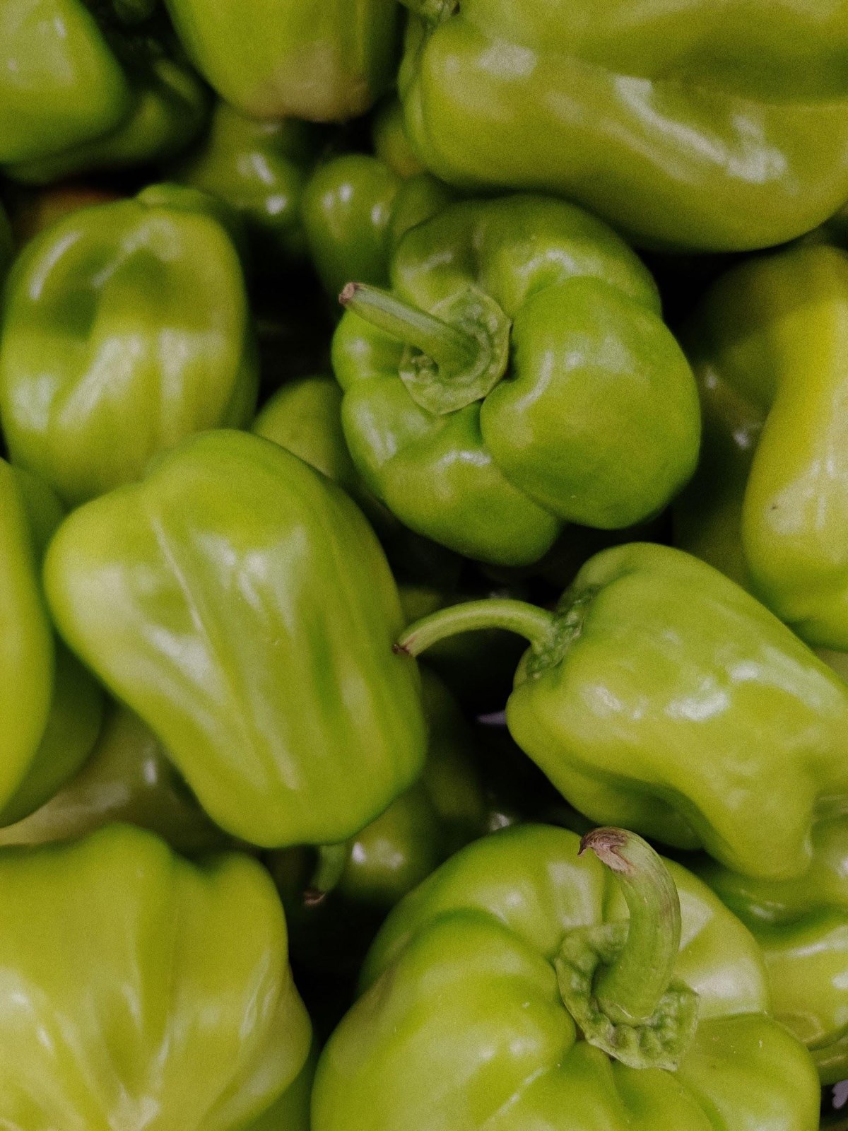 Green Capsicum_2