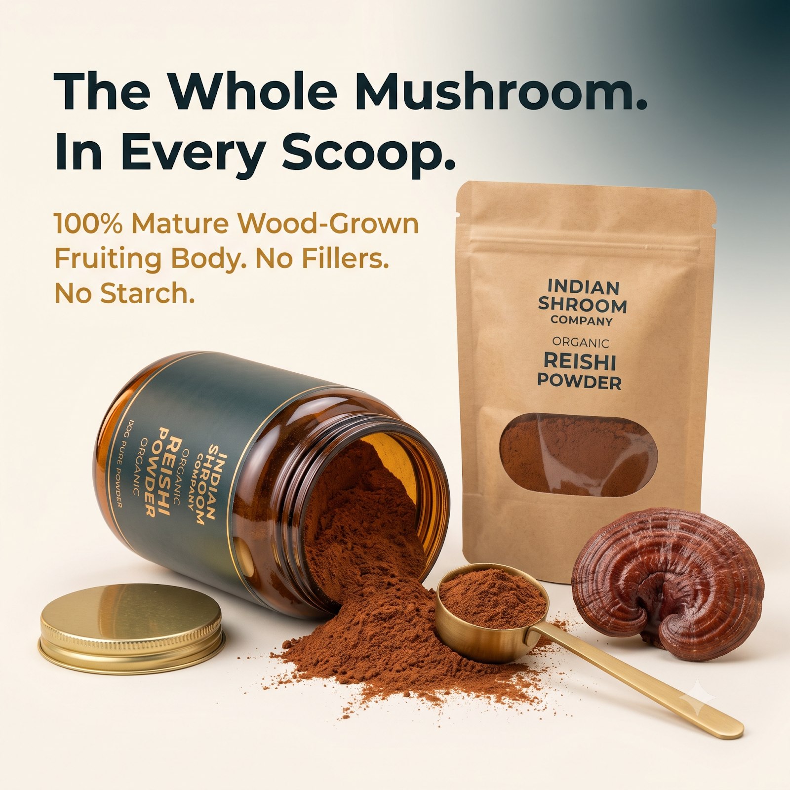 Reishi Powder_2