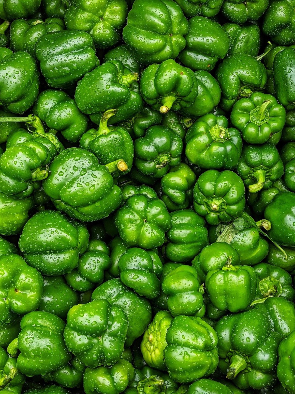 Green Capsicum 1