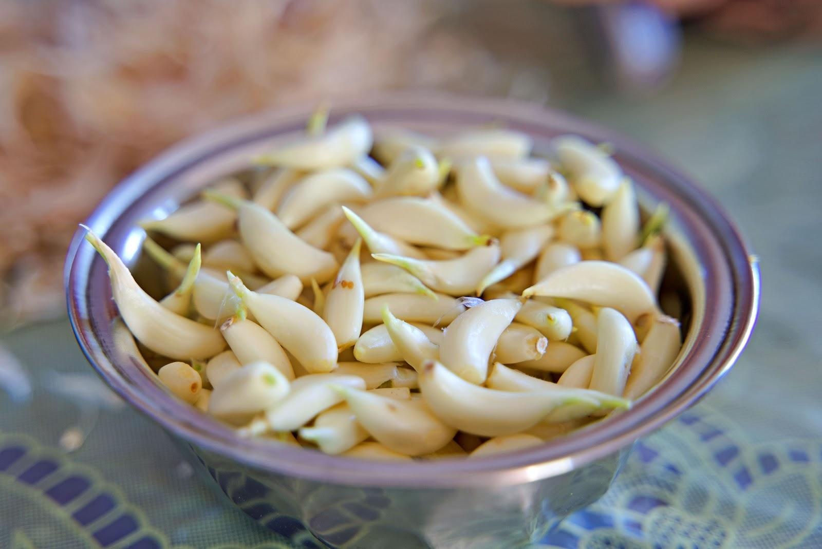 garlic 5