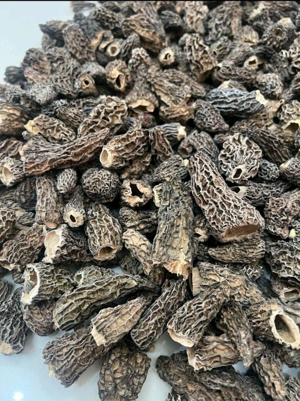 MOREL MUSHROOMS DRIED 3