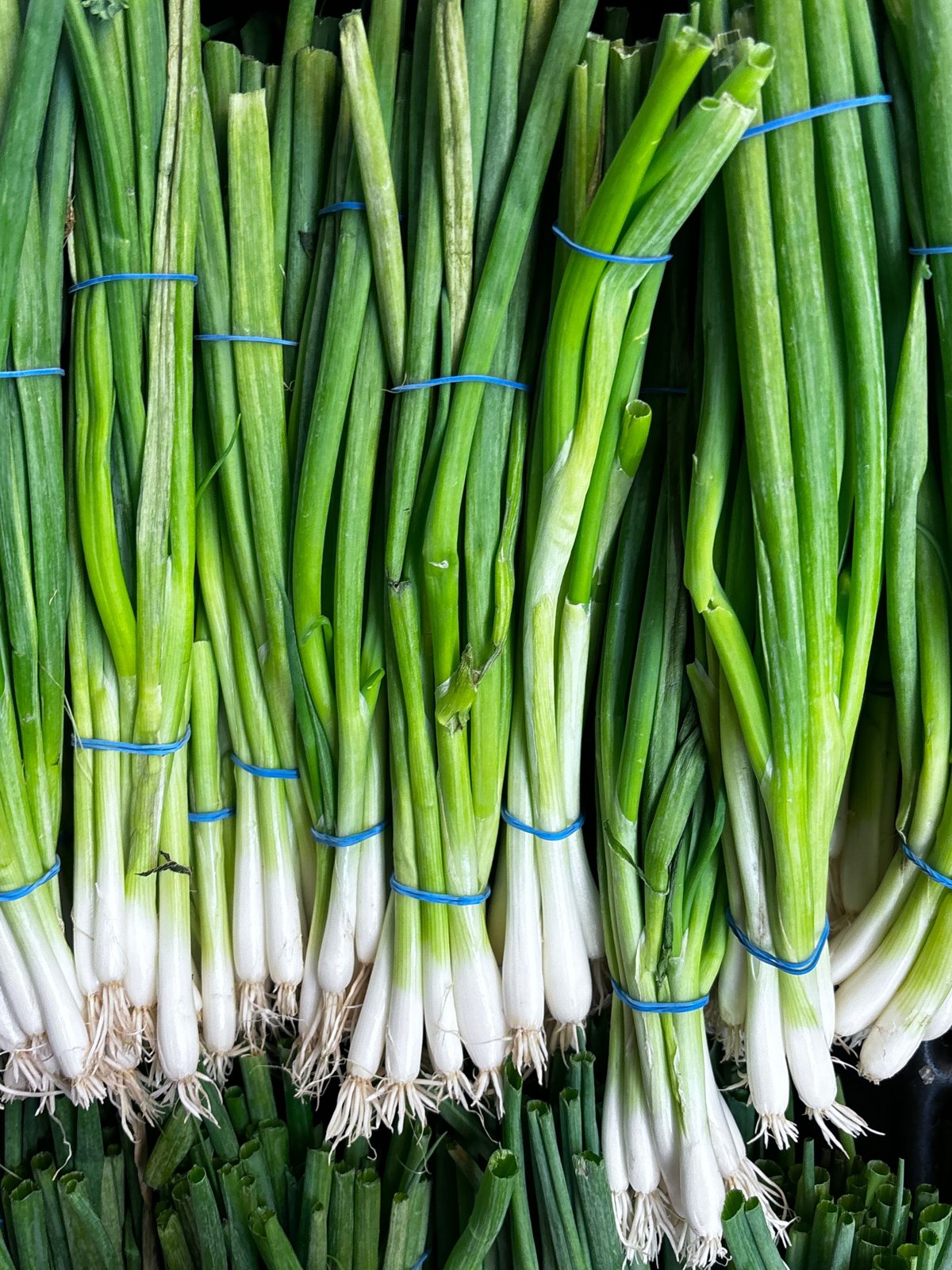 Fresh Seasonal Fruits & Vegetables