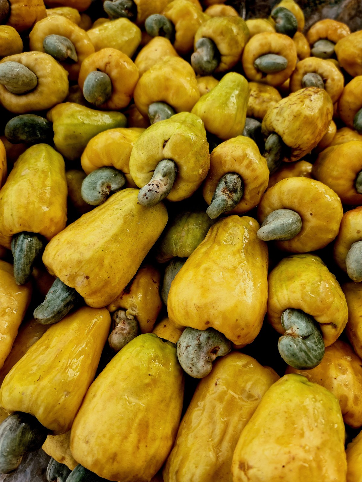 Cashews