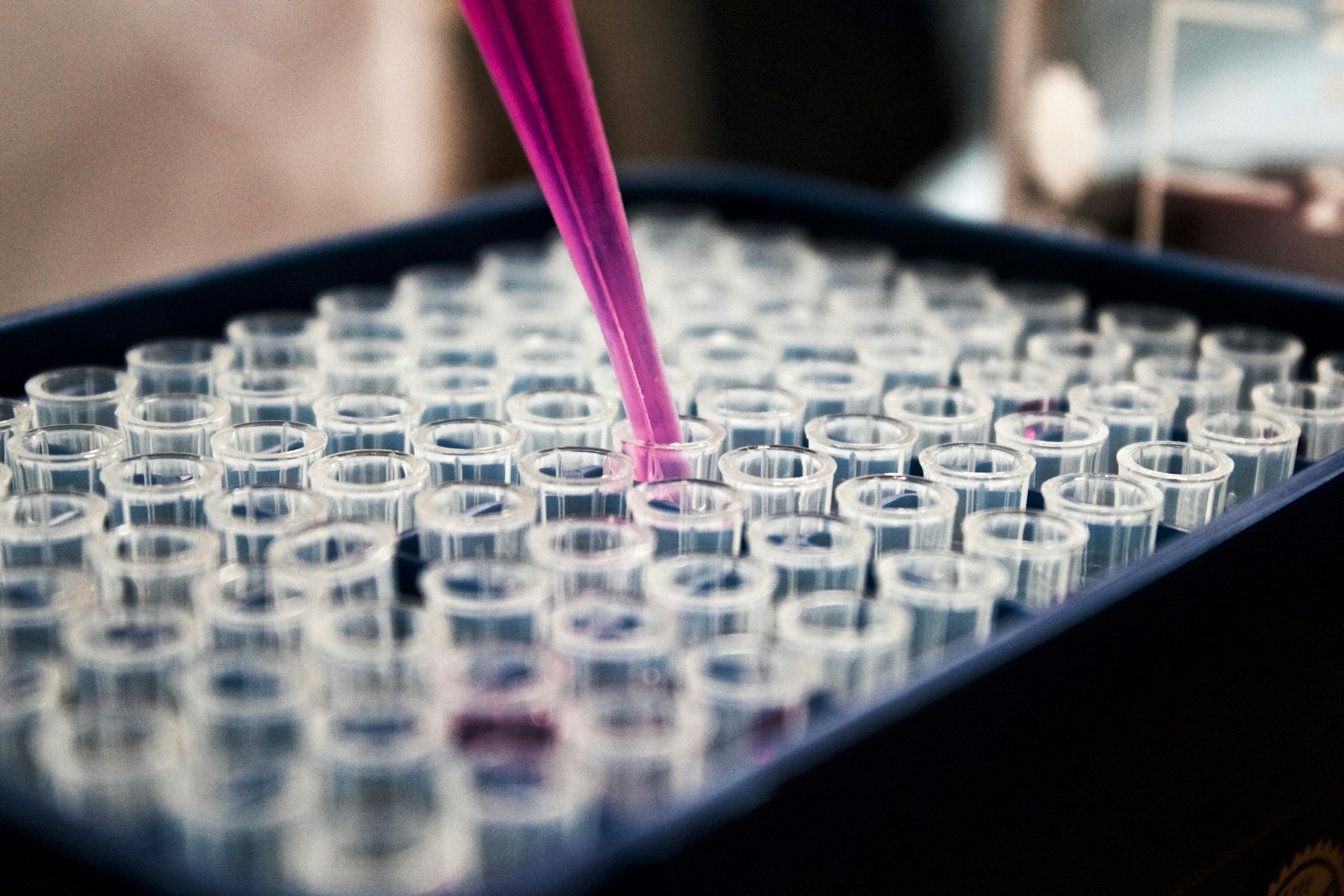 Laboratory quality testing of food products