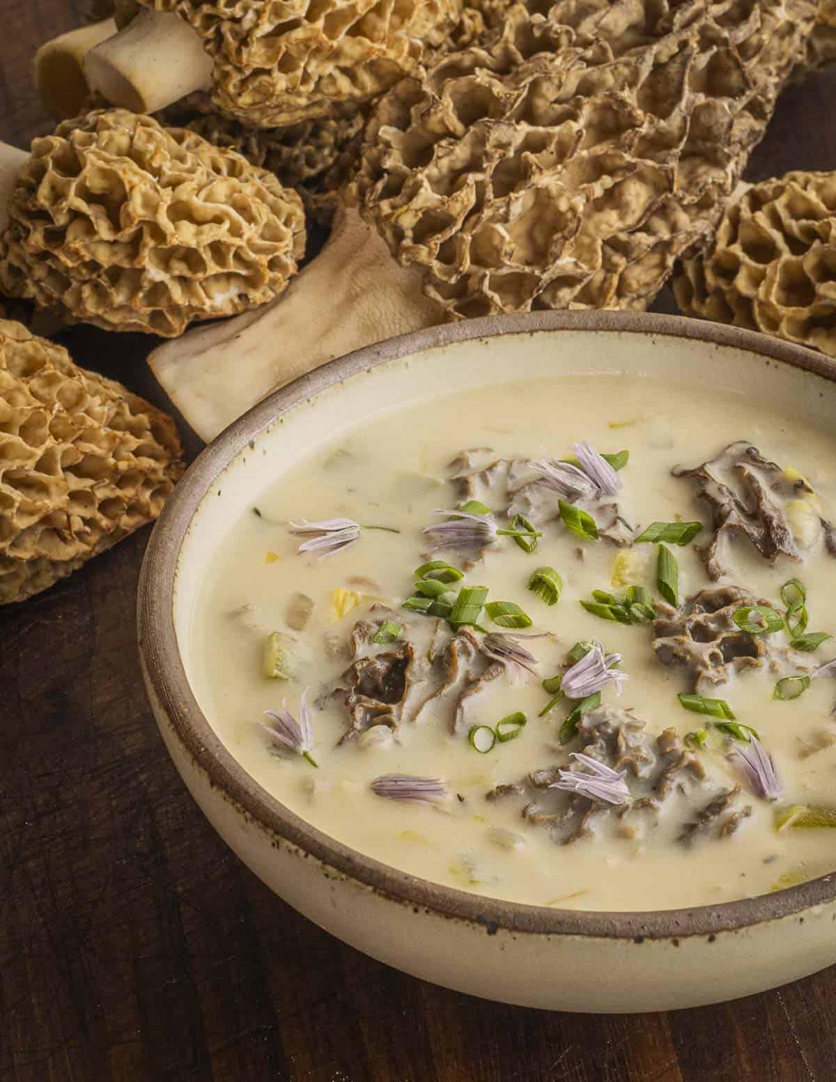 Cream-of-morel-soup-5