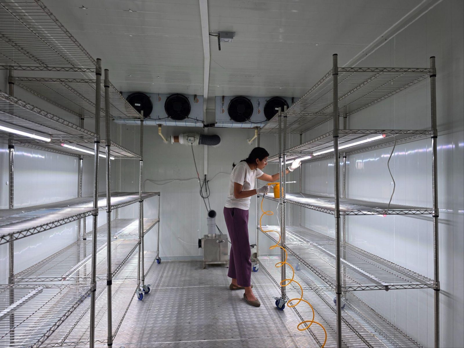 Inside a S.A.F.E grow room