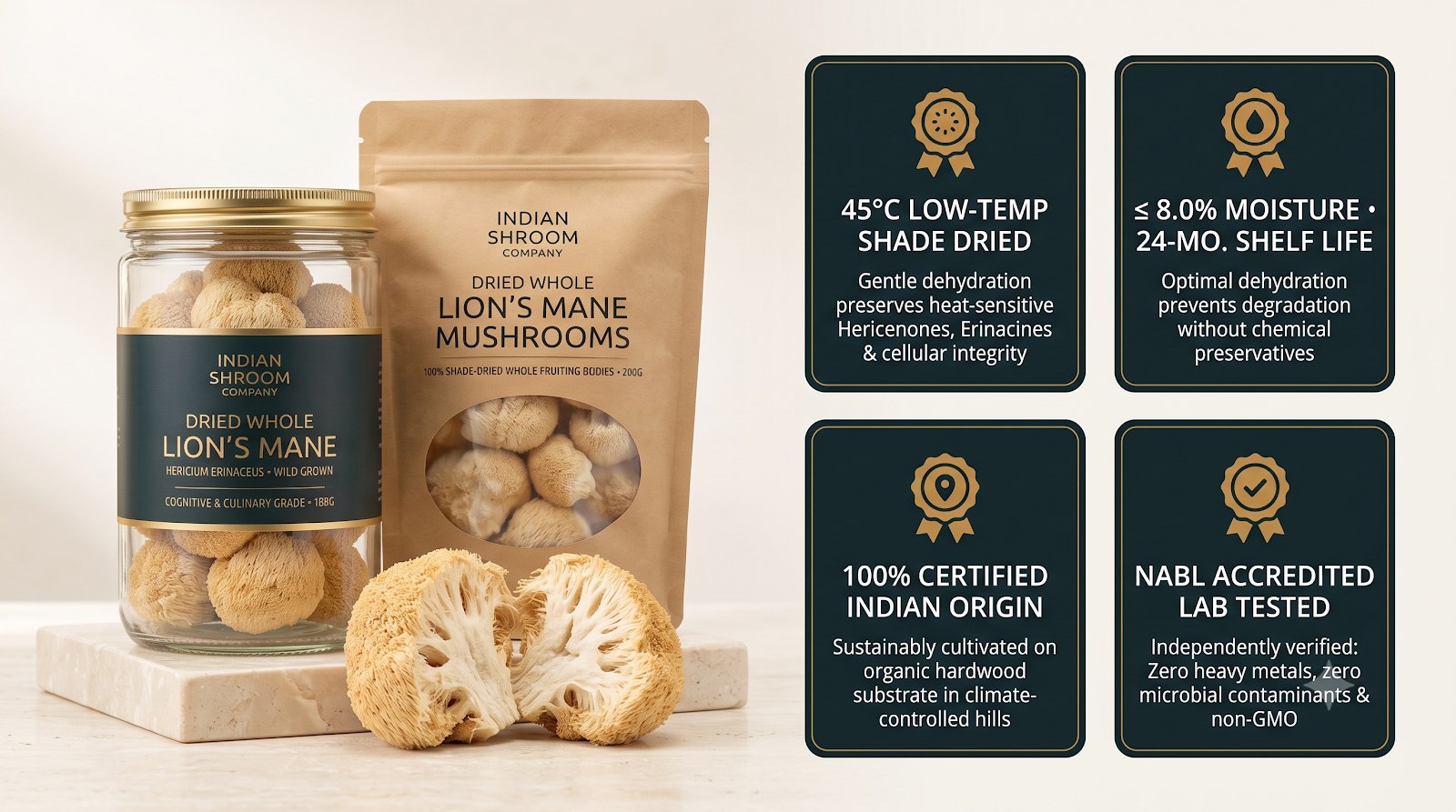 Lion's Mane Dried_2