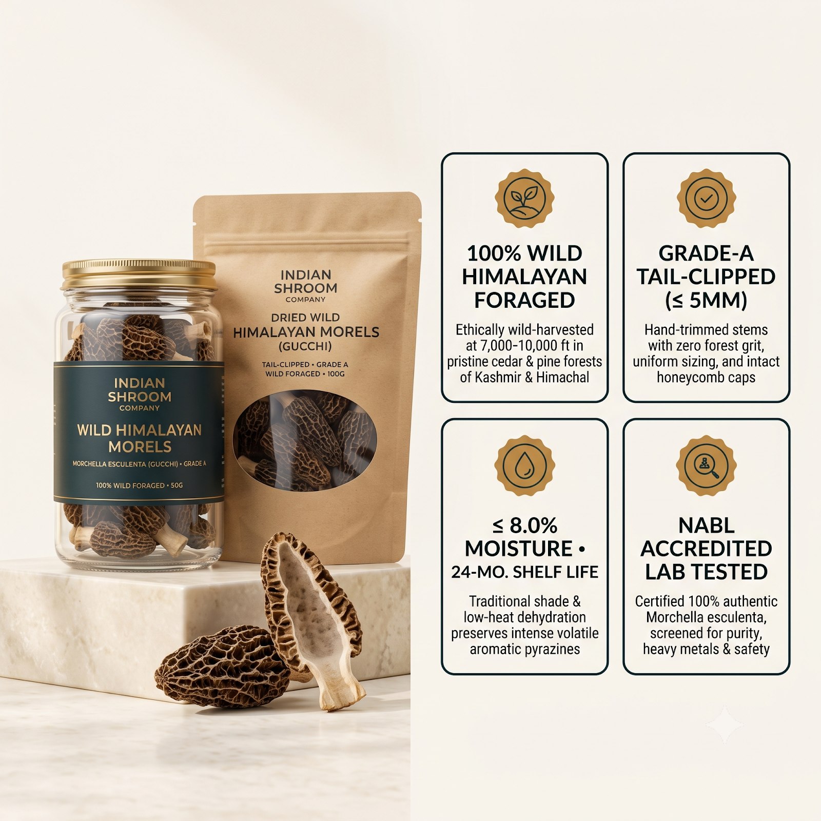 Morel Dried_2