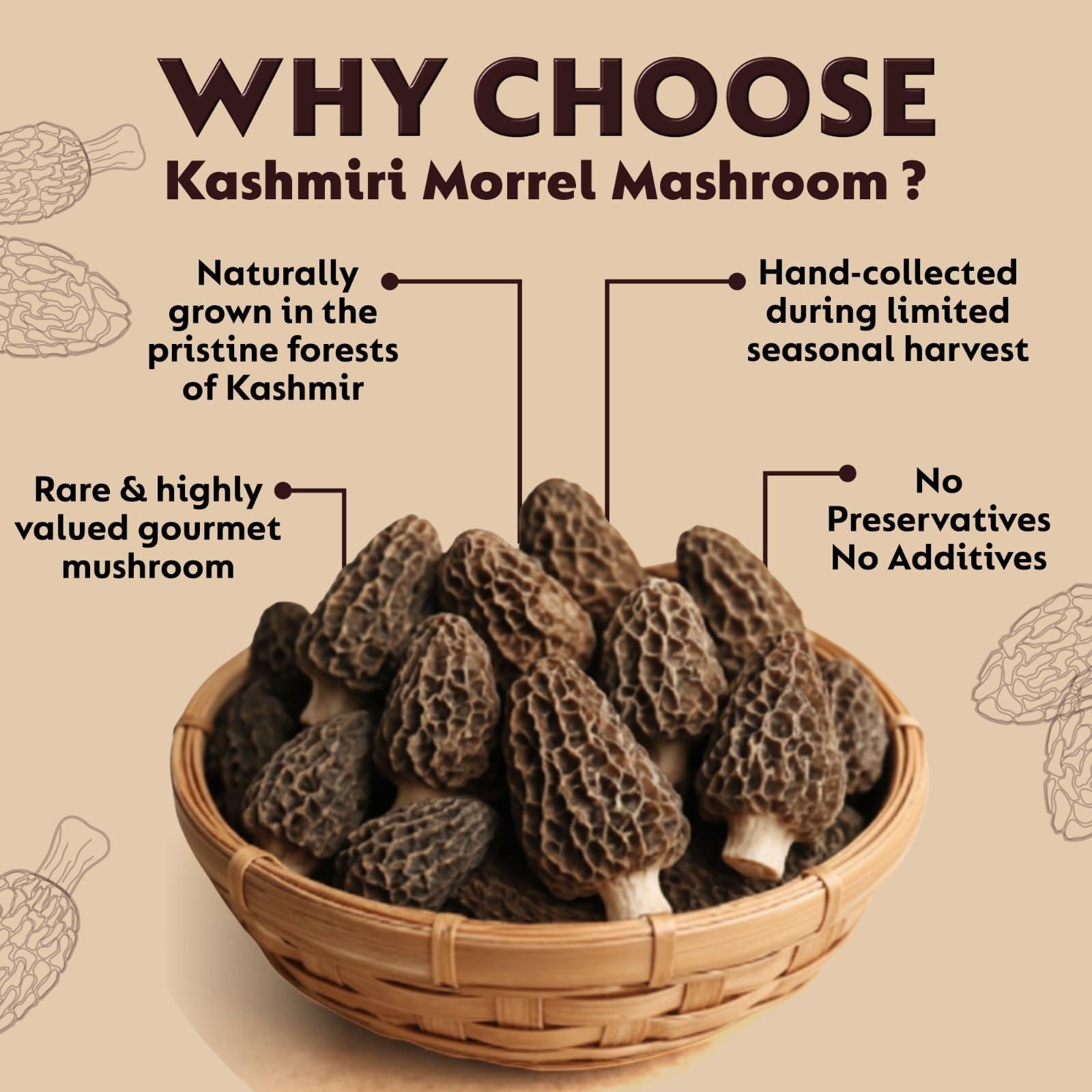 Morel Dried_5