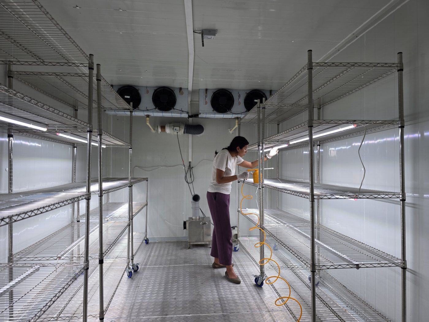 Sanitising the grow room between crop cycles